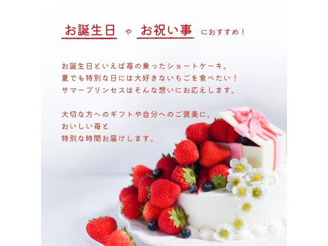 【7月限定の超大粒】ケーキ専用の夏イチゴ【子どもが喜びます】