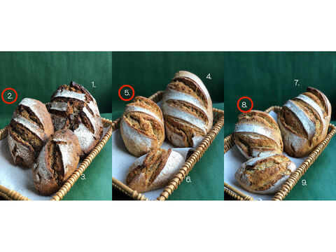 フルオーダーパンセット2:自然栽培小麦のみ使用したパンのフルオーダーセット