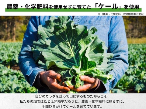 【訳あり特価】“野菜の王様”ケールの栄養満点ジュース(15パック)【賞味期限10月31日】