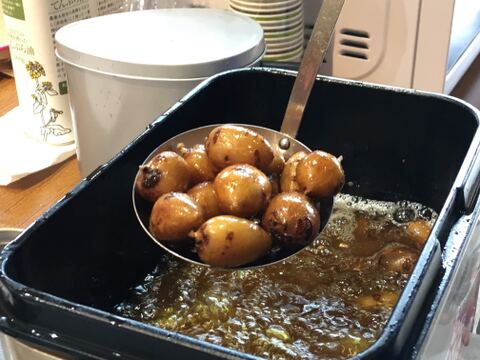 寒さに耐えて甘くなった！アピオス　500g【１～２月限定】