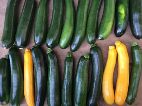 【父の日ギフト】まあるくはじけるポップコーン付き☆信州四賀より里山の旬野菜セット【mini　6品目】