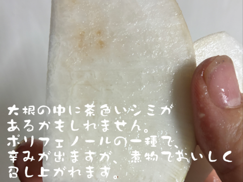 【訳あり】煮物に最適！　固定種の野菜セット11月 (霜月)