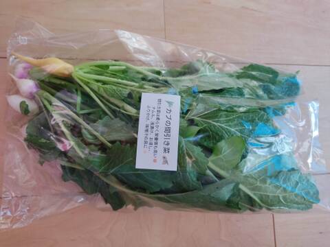 ✨世界に一つだけのプレミアム野菜便（農薬・化成肥料不使用）✨あなたの「欲しい」が詰まった一箱。わがままを叶えるオーダーメイド野菜便🥬