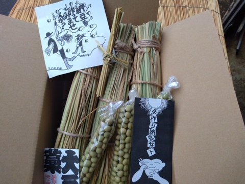 わらづと納豆 手作りセット