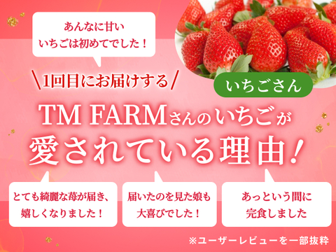 【限定100セット】特選スペシャルいちご便🍓（食べチョク公式）