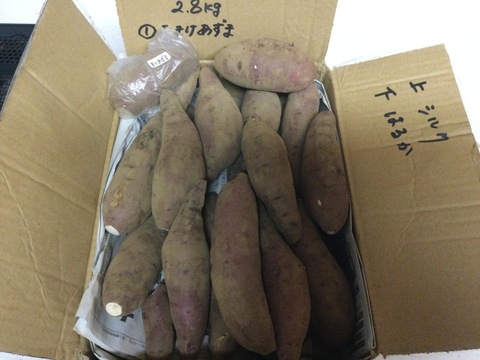 2種食べ比べ‼️ねっとりと滑らかな舌触りのさつまいも　千葉県香取市産　【はるか&シルク】2.8kg