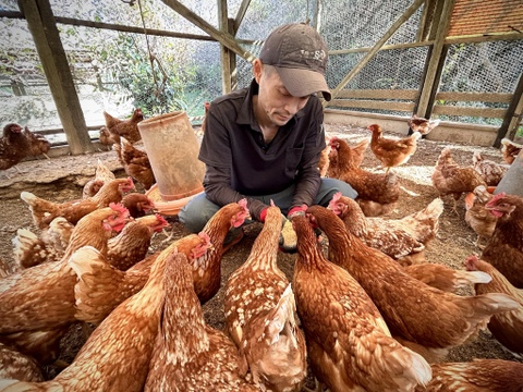 【訳あり】【投薬ゼロ】【冬ギフト】【安納芋の甘みがギュッ‼️】
っと詰まった夢まる自然卵(10個入り6箱)