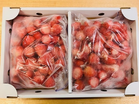ひんやりスイーツ！冷凍いちご1000ｇ×2袋