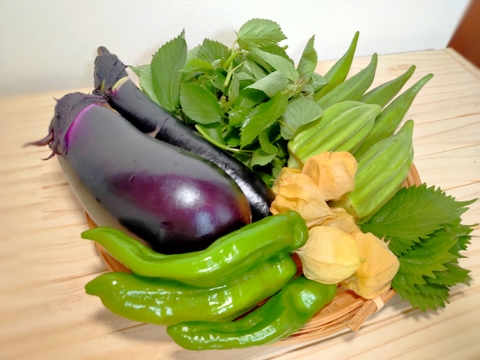 味が濃い！固定種☆旬の自然栽培のちょこちょこお任せ野菜セット(*^^*)