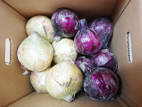 【淡路島産】赤玉ねぎ5kg＋玉ねぎ5kg｜計10kgセット★ひょうご安心ブランド認証★サラダ・スライスに◎料理の彩りにも！