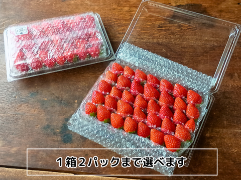 【春限定】よつぼしお楽しみパック【朝づみ直送】約450g