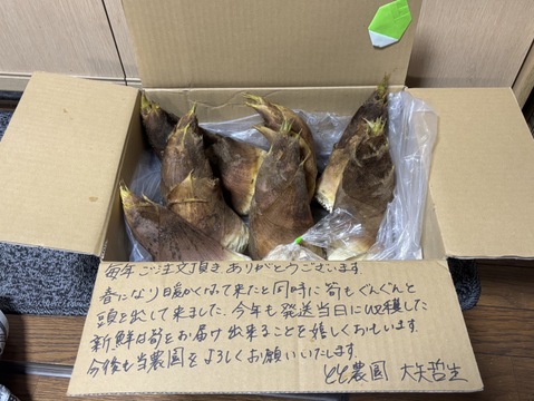 旬真っ盛り！！生たけのこ6kg　( 6〜15本入) 収穫当日発送！採れたてをお届け！