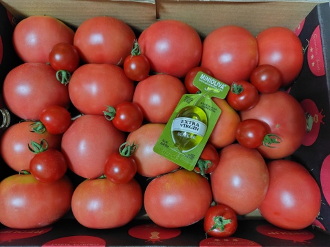 予約1月下旬から順次発送【特別栽培農産物の取得】　＼訳あり／受賞歴３回！ソムリエトマト2kg前後（8～16玉) ①のオマケ❗️ソムリエミニトマト　プラチナ