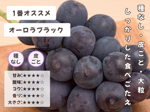 ☆ぶどう好きにオススメ☆ たっぷり6品種をお届け 岡山県産ぶどうおまかせ6種食べ比べ
