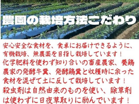 米3kg＆野菜【4～6品】セット