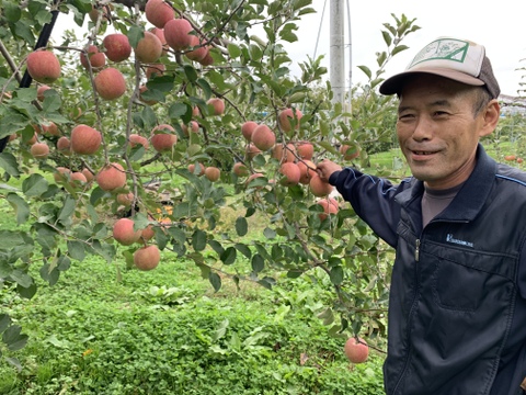 山形県産！早生ふじ！やたか！10キロ