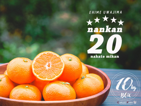 ■予約商品12月発送■濃厚な甘みとコク 【EHIME UWAJIMA】南柑20号 Aセレクション（家庭用）10kg