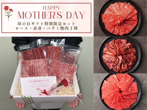 【母の日ギフト】焼肉3種（ハラミ・ロース・赤身）特別限定セット（カーネーション・メッセージカード付き）
