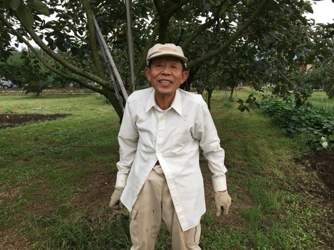 年末の大人の支度〜山梨の枯露柿〜（化粧箱3号）〜