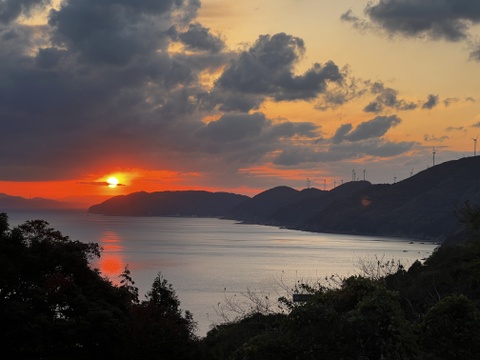 愛媛の顔！伊予柑！（訳あり・5kg）