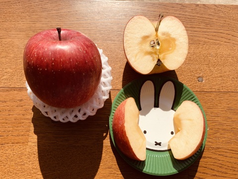 【冬ギフト】サンふじ 5kg 13~14玉