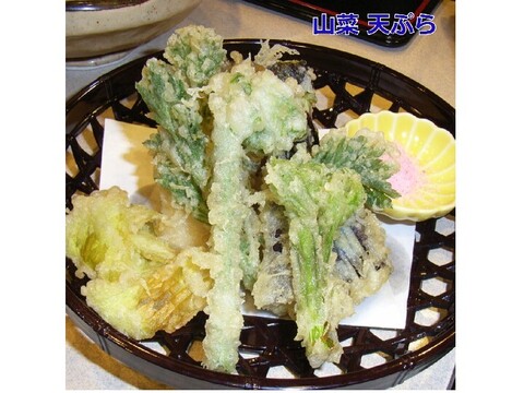 【たかゆき様専用商品】採れたて山菜天然こしあぶら 300g 天ぷら・混ぜごはん等で