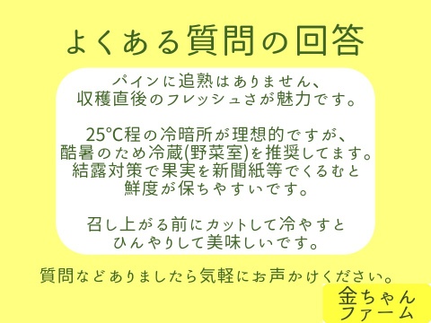【豊潤極甘】黄金のパイン『ゴールドバレル』2玉（約2.0kg)