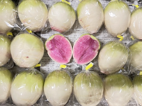 【京都府産】旬の定番夏野菜セット（10品）