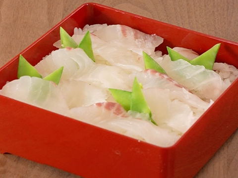 【簡単おもてなし料理】見た目も豪華に！絶品真鯛を簡単調理でとことん楽しむ！＜３枚おろし・皮なし＞