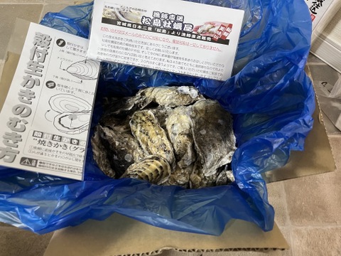 【期間限定10％値引き販売中】🦪 生食用２ｋｇ 殻付き 牡蠣 急速凍結 ❄️ 牡蛎 kaki カキ 松島牡蠣屋 BBQに最適！🔥 海産物 オイスター😋冷凍牡蠣 貝類二枚貝 B