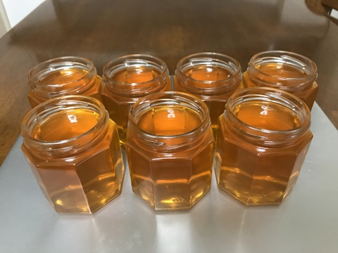 日本蜜蜂の2年熟成生ハチミ1200g+220g×3個+ 100g小瓶おまけ付き　非加熱／無添加