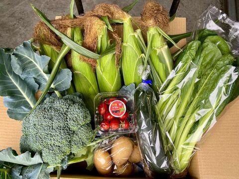 とうもろこし5本＆採りたて野菜5品【本州の方限定】