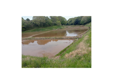 【新米】茨城県産コシヒカリ！５ｋｇ深井戸水使用！