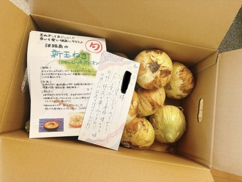 🧅新玉ねぎ3kg🧅シャーロットオニオン　淡路島極熟玉葱　今が旬‼️ 特別栽培農産物