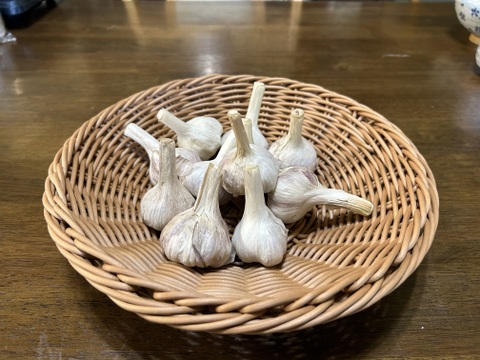 農薬不使用栽培『ホワイト六片・島にんにく』セット【岐阜県郡上市産】