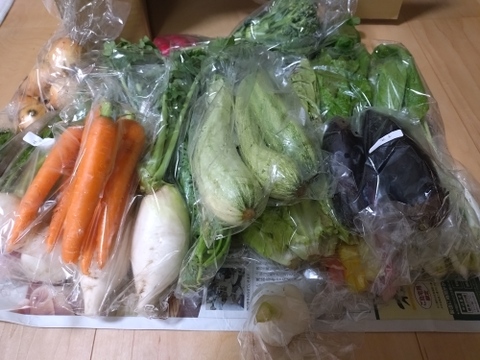 [定期購入] ギュッとお得用セットＭサイズ(約10品)