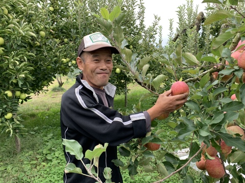 山形県産 ふじりんご  蜜入りんご　贈答用5kg