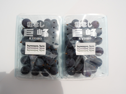 山梨県産　巨峰　1キロパック