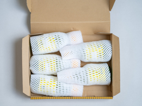 【国産レモン果汁100％】佐賀県産 宝韶寿レモン果汁150ml×5本