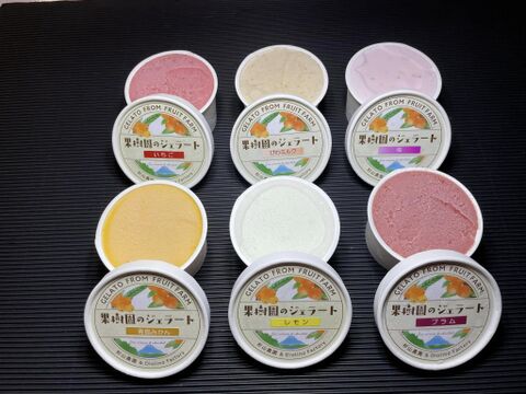 新発売　果樹園のジェラート『杉山農園おすすめセット』６個入り