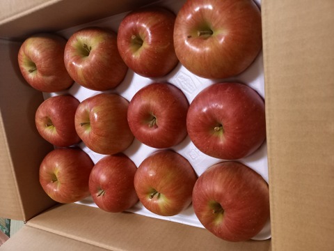 じゅわっと甘い！シナノスイート10Kg箱・22個～28個【ご家庭用・キズ】
