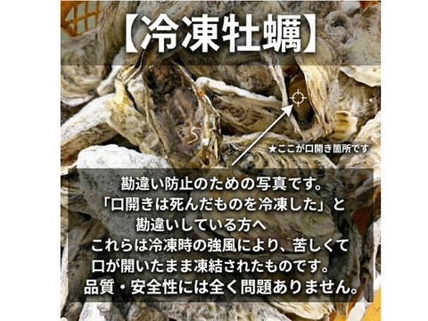 【期間限定10％値引き販売中】❄️ 生食用４ｋｇ 殻付き 牡蠣 急速凍結 🦪 松島牡蠣屋直送 BBQ・ホームパーティーに！ 🔥 オイスター 貝 😋冷凍牡蠣 貝類 二枚貝B
