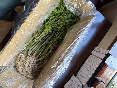 まもなく終了！根っこが主役！湯沢市産『三関せり』1kg