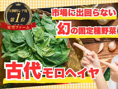 🥬最強野菜の呼び声高い古代モロヘイヤ🥬絶世の美女クレオパトラも愛した王様の野菜☆古代種ブランド野菜【農薬不使用】【化学肥料不使用】【品種改良なしの固定種野菜】🥬2026年8月下旬予約🥬