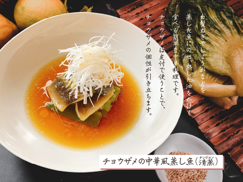 【王室が愛した高貴な魚】チョウザメフィレ70ℊ×6個セット　白身魚／刺身生食可／和食・中華・イタリアン様々な料理に