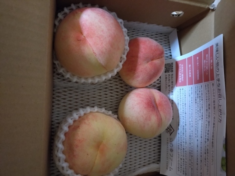 【期間限定！山梨県産桃訳アリ品種いろいろ🍑】すぐ発送！約2キロ！中～特大サイズランダム6～８個！一度食べたら忘れられない  その時期一番おいしい品種をお届け【品種おまかせ】