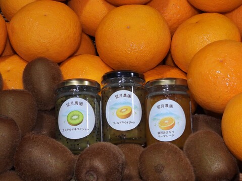 【食べ比べ】太陽の恵みサンSANセット（２Ｋ箱）