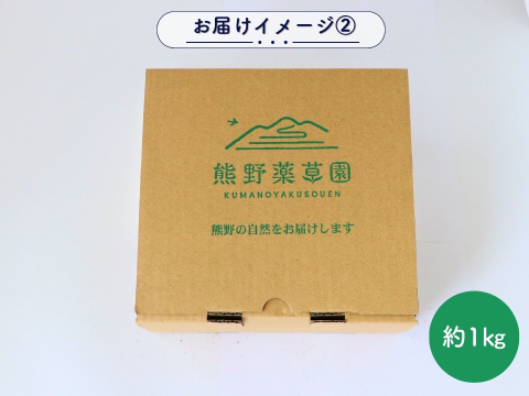 【自然栽培】三重県熊野市産キウイフルーツ(ヘイワード)(約1㎏)