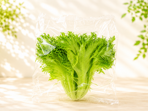 【中容量】日常使いに！洗わずに食べられるレタス9点セット（780ｇ）