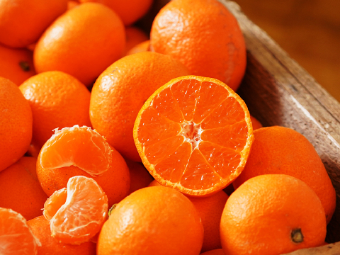 蔵出しみかん早生5kg｜和歌山県海南市下津町の特産品、蔵出しみかんの希少な早生品種